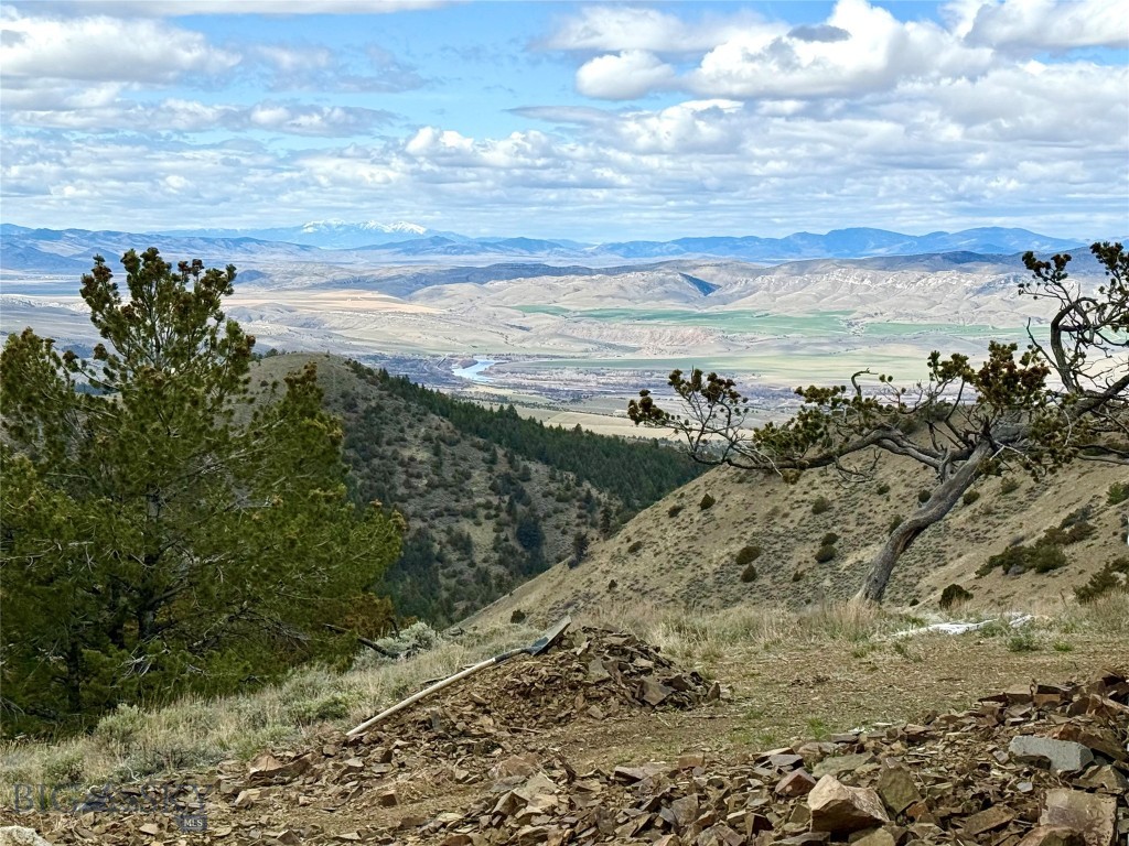 Ponderosa Pines - Residential