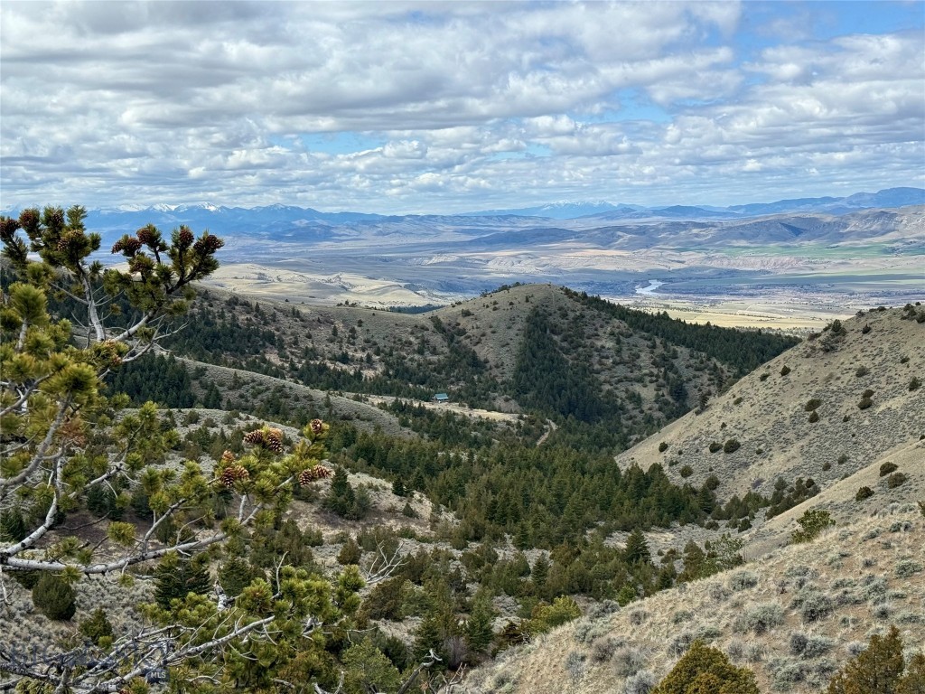 Ponderosa Pines - Residential
