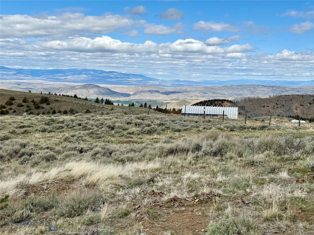 Ponderosa Pines - Residential