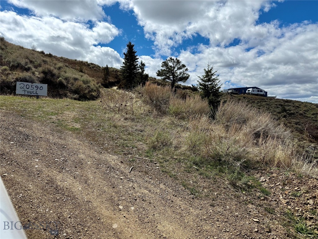 Ponderosa Pines - Residential