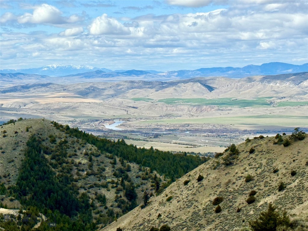 Ponderosa Pines - Residential