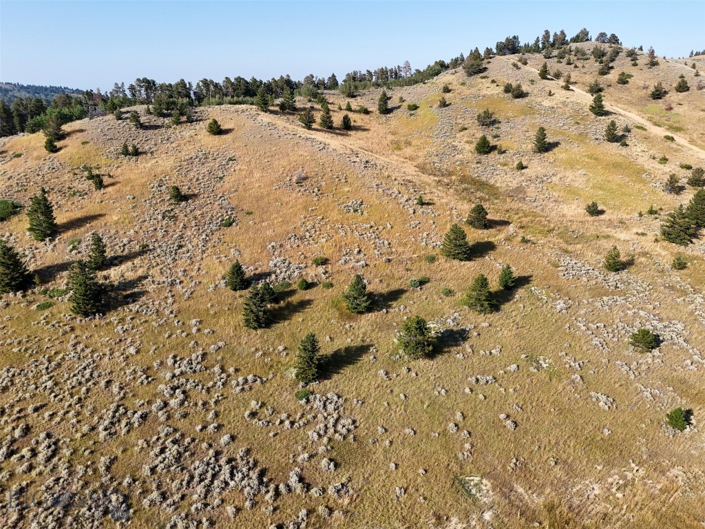 Minor Subdivision - Land