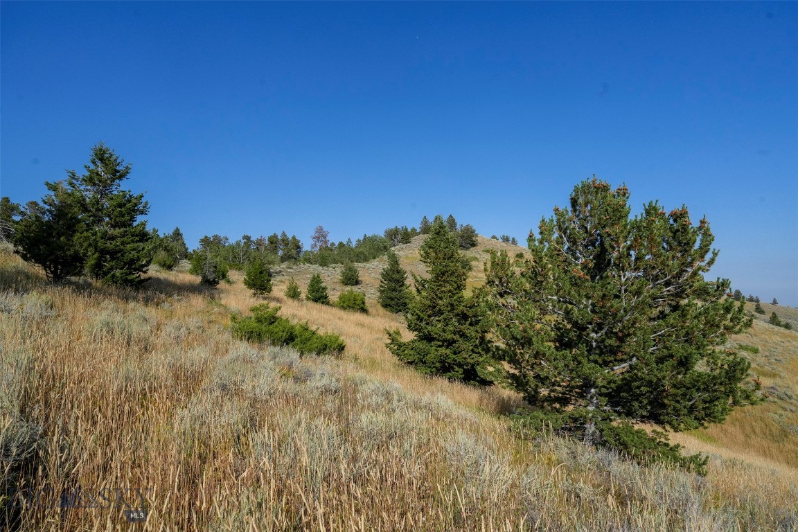 Minor Subdivision - Land