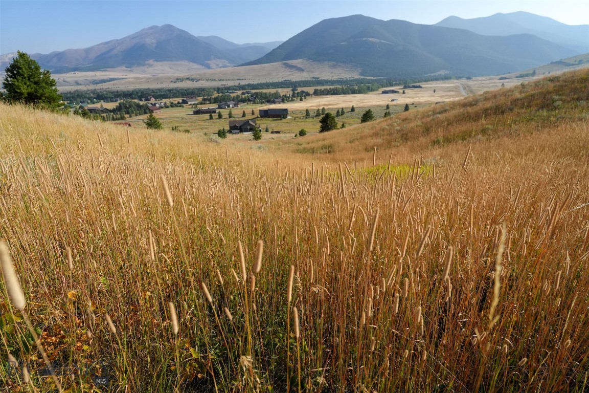 Minor Subdivision - Land