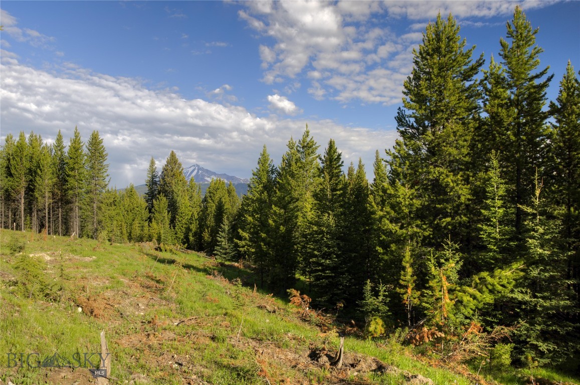 Spectacular Views! This premier Elk Ridge Ranch vacant land parcel is located in the majestic Gallatin Canyon, adjacent to Big Sky Resort. If you imagine building your dream home in a quiet mountain setting, nestled on a hillside with trees for privacy, incredible views and easy access to surrounding amenities, this property is it. There is a driveway stubbed in to the building site which has unsurpassed views of Lone Mountain and the entire Big Sky community. This 19.879 acre lot is only 5.5 miles from the entrance to Big Sky. In addition to the existing canyon access, a bonus future feature is a planned gated road between the Big Sky Meadow area and Elk Ridge. Move between the excitement of a vibrant ski resort community and your private paradise in minutes. Many recreational opportunities are in close proximity including hiking, rafting, fishing, mountain biking, downhill and cross country skiing. The border of Yellowstone National Park is only 23 miles away. If you own an income producing Big Sky property and would prefer this one, the Seller will consider a trade of a rental property/properties. The Seller will also entertain carrying a contract for deed.