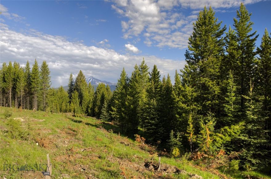 Spectacular Views! This premier Elk Ridge Ranch vacant land parcel is located in the majestic Gallatin Canyon, adjacent to Big Sky Resort. If you imagine building your dream home in a quiet mountain setting, nestled on a hillside with trees for privacy, incredible views and easy access to surrounding amenities, this property is it. There is a driveway stubbed in to the building site which has unsurpassed views of Lone Mountain and the entire Big Sky community. This 19.879 acre lot is only 5.5 miles from the entrance to Big Sky. In addition to the existing canyon access, a bonus future feature is a planned gated road between the Big Sky Meadow area and Elk Ridge. Move between the excitement of a vibrant ski resort community and your private paradise in minutes. Many recreational opportunities are in close proximity including hiking, rafting, fishing, mountain biking, downhill and cross country skiing. The border of Yellowstone National Park is only 23 miles away. If you own an income producing Big Sky property and would prefer this one, the Seller will consider a trade of a rental property/properties. The Seller will also entertain carrying a contract for deed.