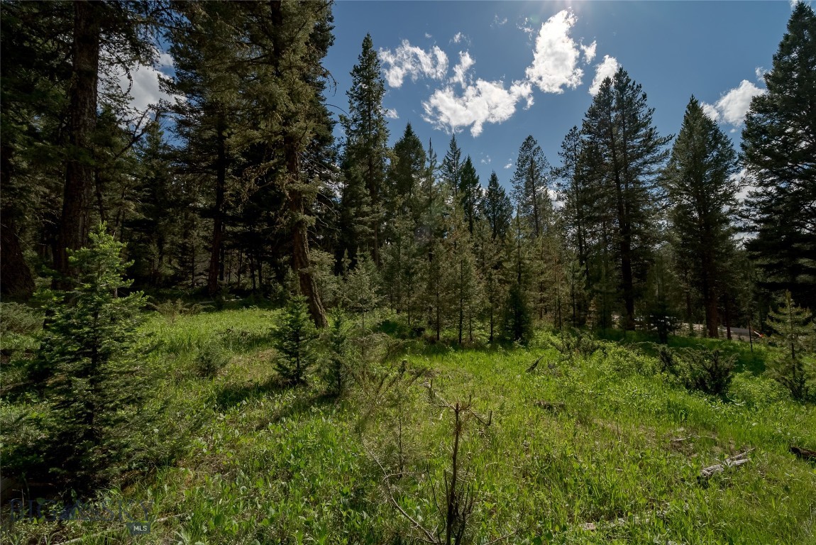Lot 20 Colters Run Loop
