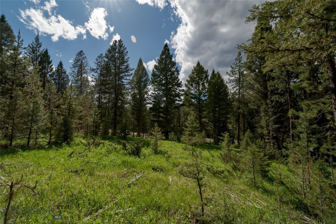 Lot 20 Colters Run Loop