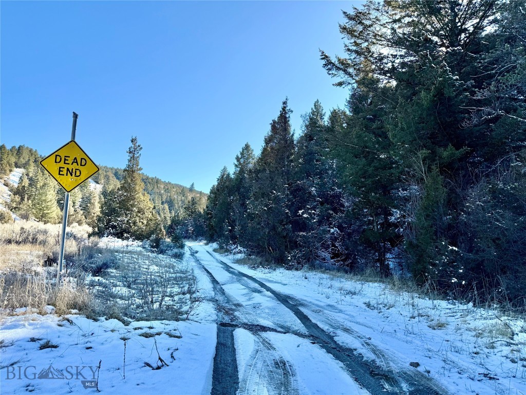 Ponderosa Pines - Land