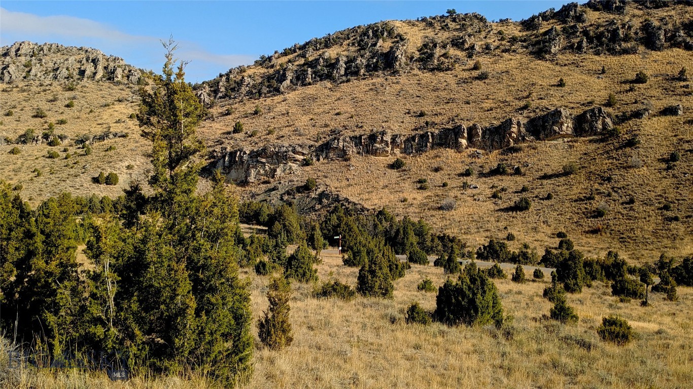 Gallatin River Ranch - Land