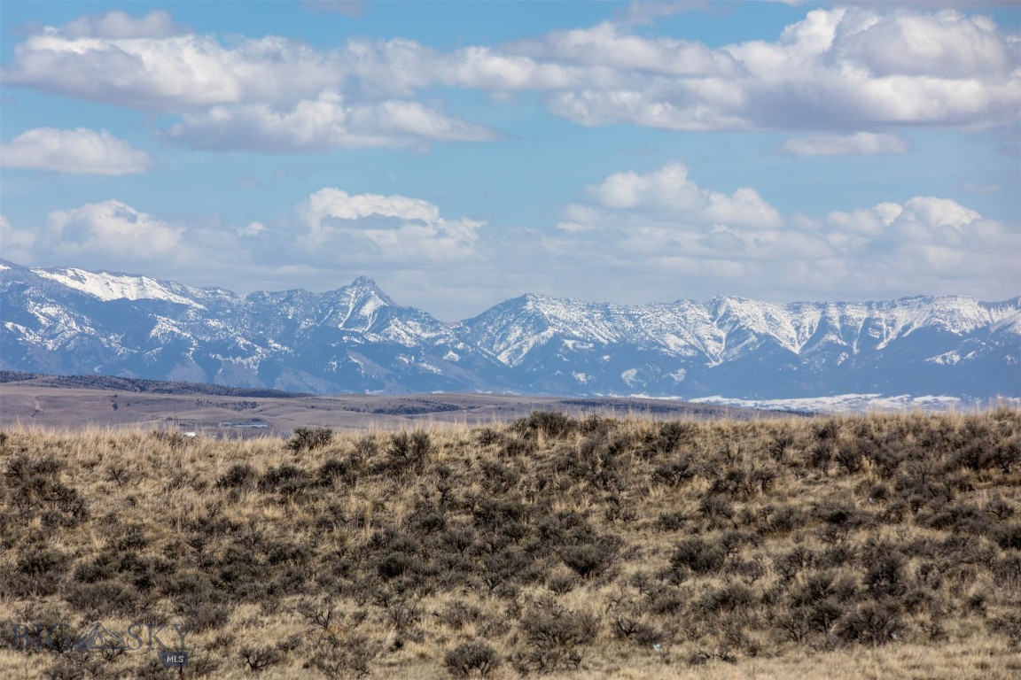 Colters Run - Land