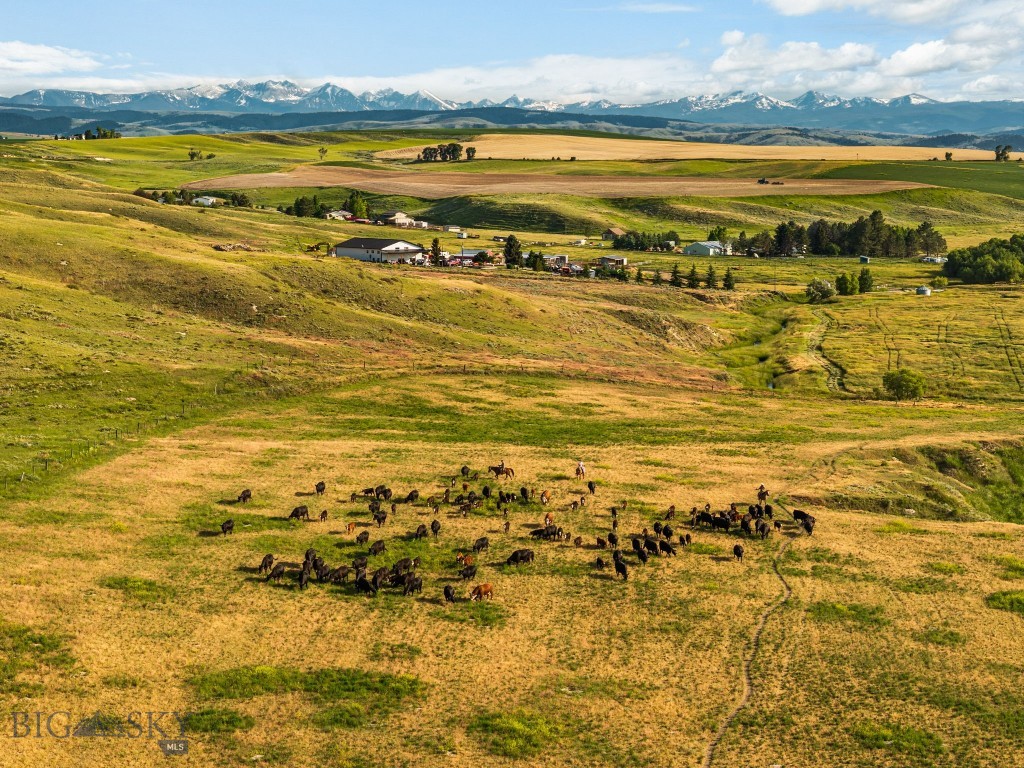 Introducing a truly rare offering along Camp Creek Road — a stunning 20± acre parcel just a 20 minute drive from Downtown Bozeman and 15 minutes from Gallatin International Airport.  Fishable Camp Creek runs directly through the property, adding a serene water feature and natural wildlife corridor to this already remarkable setting. With no known covenants or zoning, the land offers unparalleled freedom and flexibility for your vision—whether that's building a dream home, creating a recreational retreat, or holding as a long-term investment.  Neighboring 154 acres of state land, the property enjoys additional land for exploration, privacy, and hunting. From your homesite, take in panoramic views of the Spanish Peaks and Bridger Mountains—a postcard-worthy backdrop in every direction with views to the west of over 700+ acres of farm land that is protected by conservation easement. Opportunities like this with water, views, adjacency to public land, and close to modern conveniences in Bozeman and Belgrade—are becoming increasingly hard to find in the Gallatin Valley. Don't miss your chance to own a legacy parcel in one of Montana's most sought-after areas.