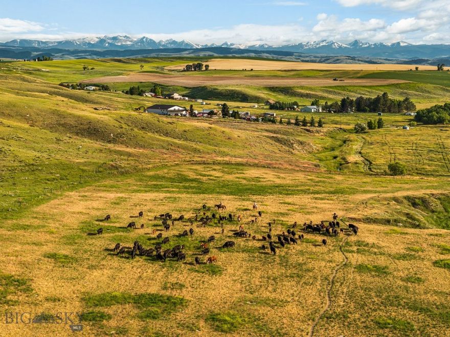 Introducing a truly rare offering along Camp Creek Road — a stunning 20± acre parcel just a 20 minute drive from Downtown Bozeman and 15 minutes from Gallatin International Airport.  Fishable Camp Creek runs directly through the property, adding a serene water feature and natural wildlife corridor to this already remarkable setting. With no known covenants or zoning, the land offers unparalleled freedom and flexibility for your vision—whether that's building a dream home, creating a recreational retreat, or holding as a long-term investment.  Neighboring 154 acres of state land, the property enjoys additional land for exploration, privacy, and hunting. From your homesite, take in panoramic views of the Spanish Peaks and Bridger Mountains—a postcard-worthy backdrop in every direction with views to the west of over 700+ acres of farm land that is protected by conservation easement. Opportunities like this with water, views, adjacency to public land, and close to modern conveniences in Bozeman and Belgrade—are becoming increasingly hard to find in the Gallatin Valley. Don't miss your chance to own a legacy parcel in one of Montana's most sought-after areas.