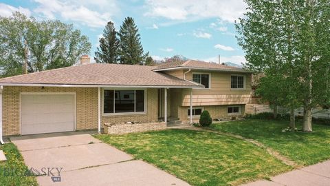 607 Meadowlark Lane Livingston MT 59047