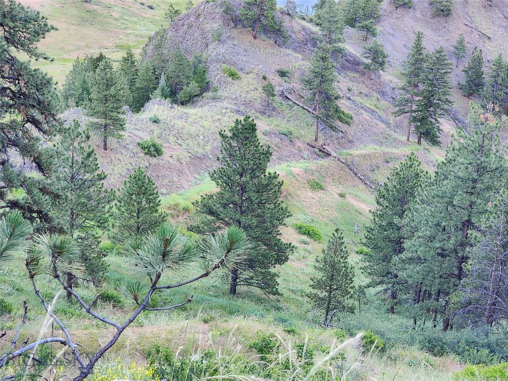 Other - Land