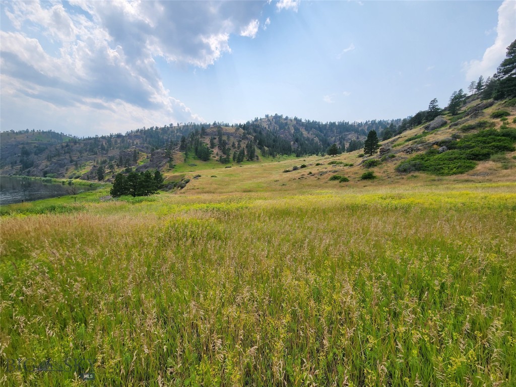 Other - Land
