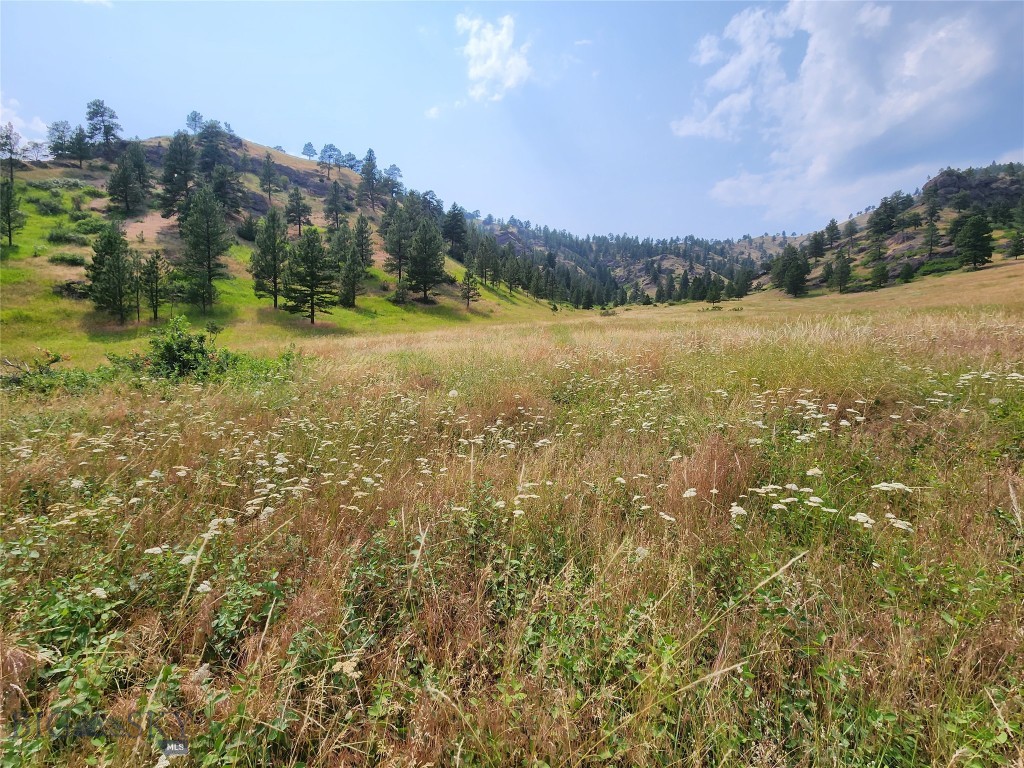 Other - Land