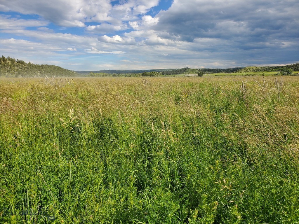 Other - Land
