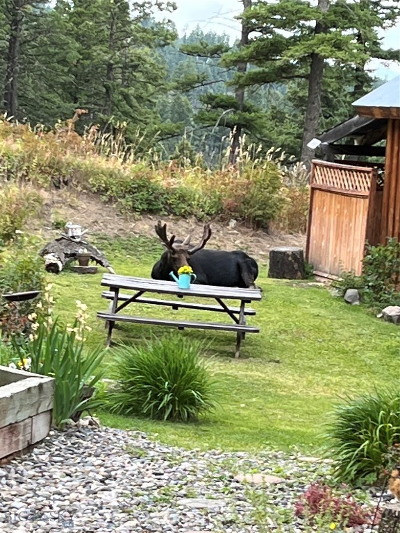 Mountain Brook - Residential