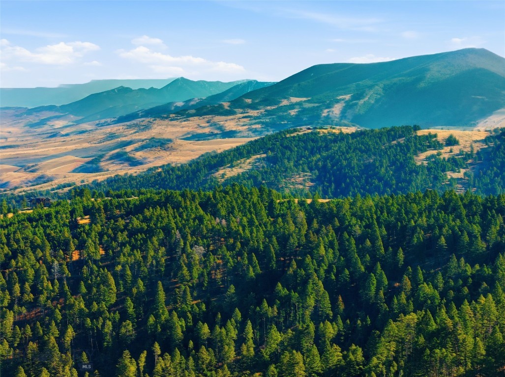 Mountain Brook - Residential