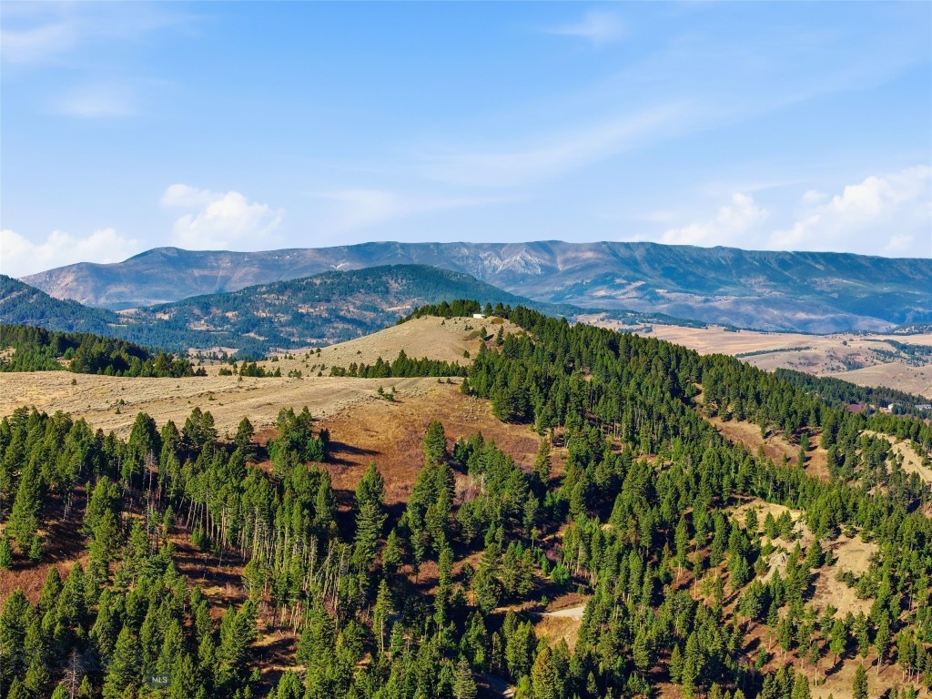 Mountain Brook - Residential