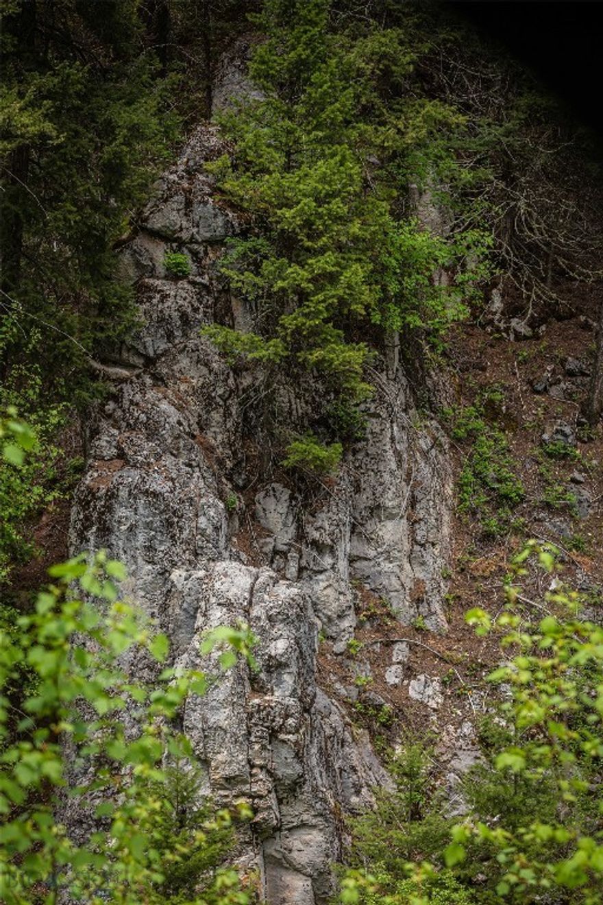 631.68 +/- acres of prime Montana mountain land for sale in the Garnet Range near Drummond, MT, bordering Montana State Land and offering seasonal springs, wide open spaces, and sweeping mountain views. This rural Montana land for sale is ideal Western Montana recreational and hunting land, with mixed terrain that attracts elk, deer, and other native wildlife. Whether you want Montana recreational land, investment land in Montana, or your own secluded off-grid retreat, this property is perfect for hunting, hiking, or simply enjoying the serenity of the backcountry. With no HOA restrictions, seller financing available, and room for a seasonal cabin (horses allowed if desired), this large acreage offers the freedom to create the lifestyle you want—weekend escape or seasonal Montana homestead.