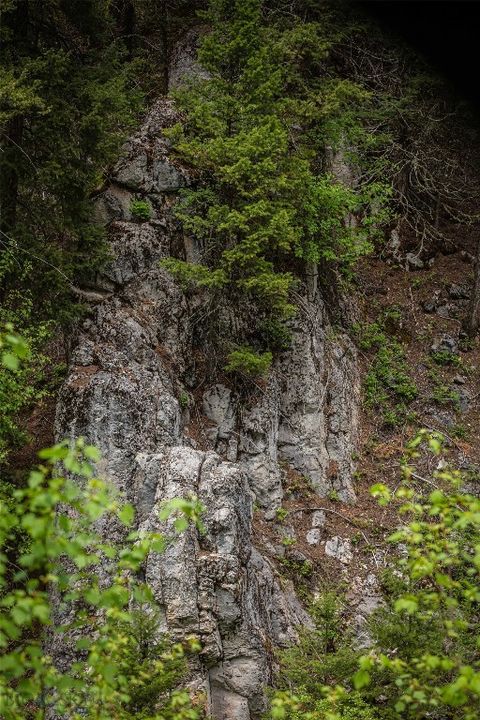 4,5,6,7 Garnet Range Drummond MT 59832