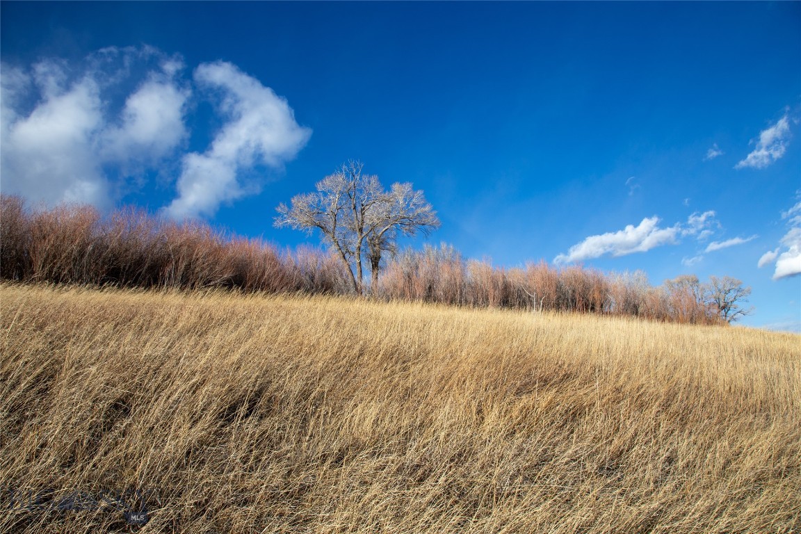 Sky View in Ennis - Land