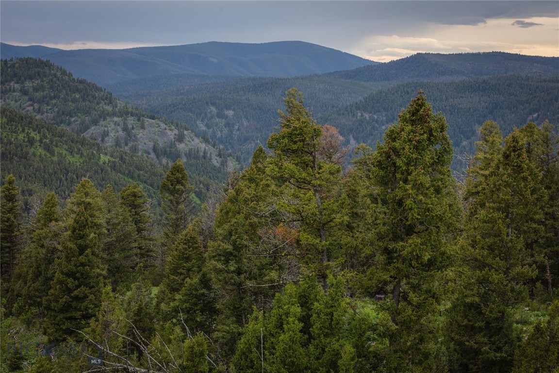 10 & 11 Tract, Bull Elk