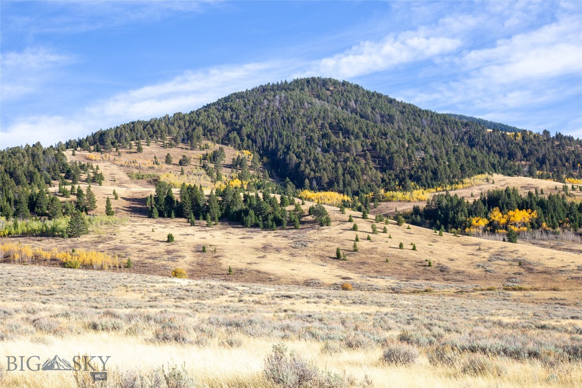 Sportsmans Paradise - Land