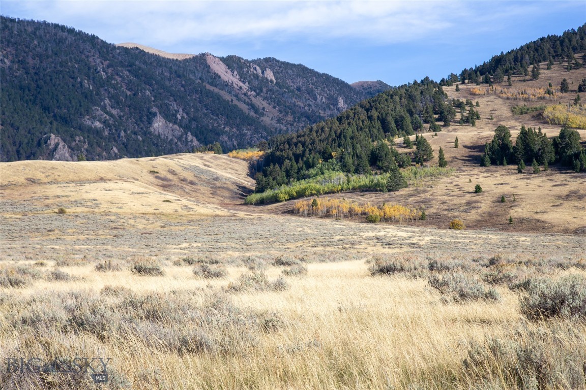 Sportsmans Paradise - Land