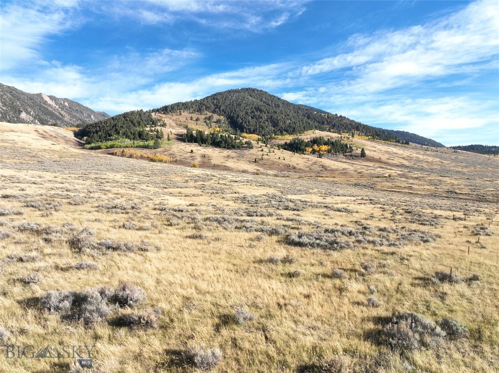 Sportsmans Paradise - Land