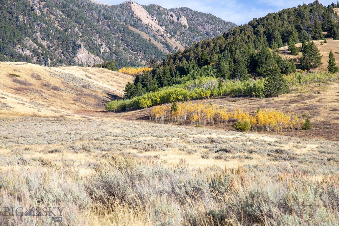 Sportsmans Paradise - Land