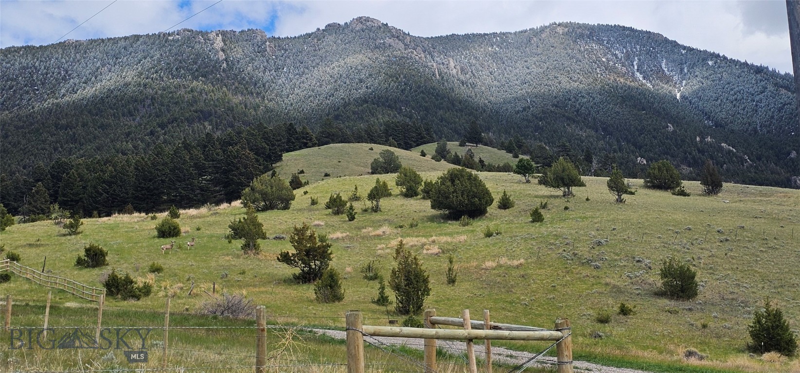 Double M Ranch - Residential