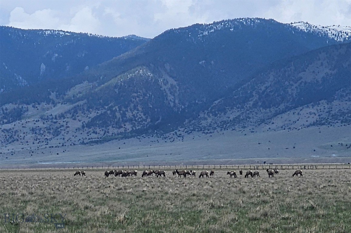 Double M Ranch - Residential