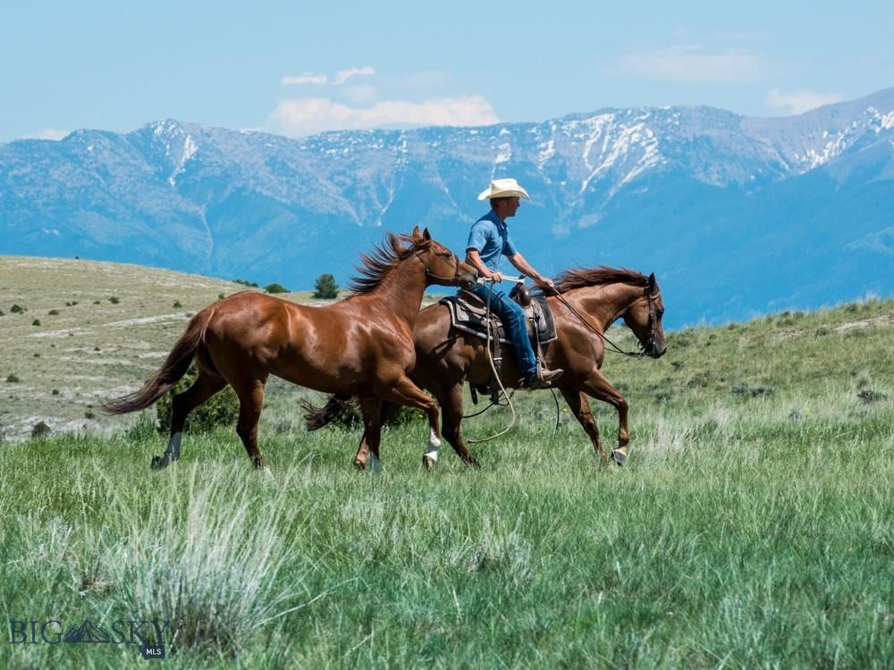 Gallatin River Ranch - Land