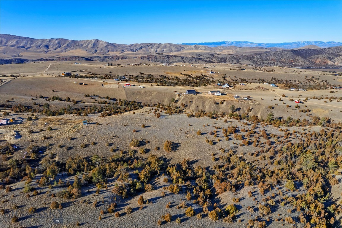 Ponderosa Pines - Residential