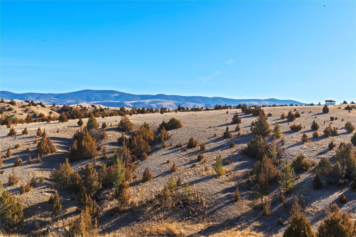 Ponderosa Pines - Residential