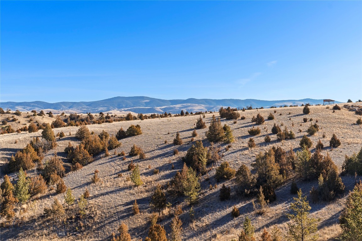 Ponderosa Pines - Residential