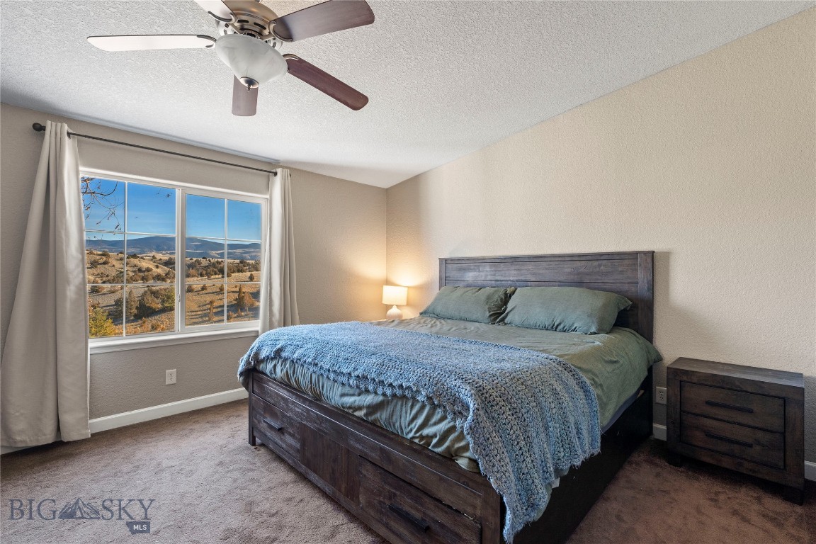 Ponderosa Pines - Residential