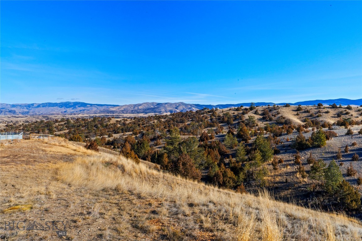 Ponderosa Pines - Residential