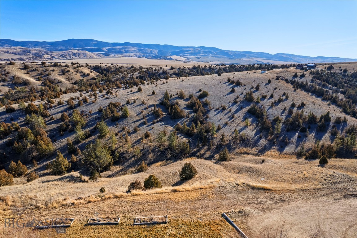 Ponderosa Pines - Residential