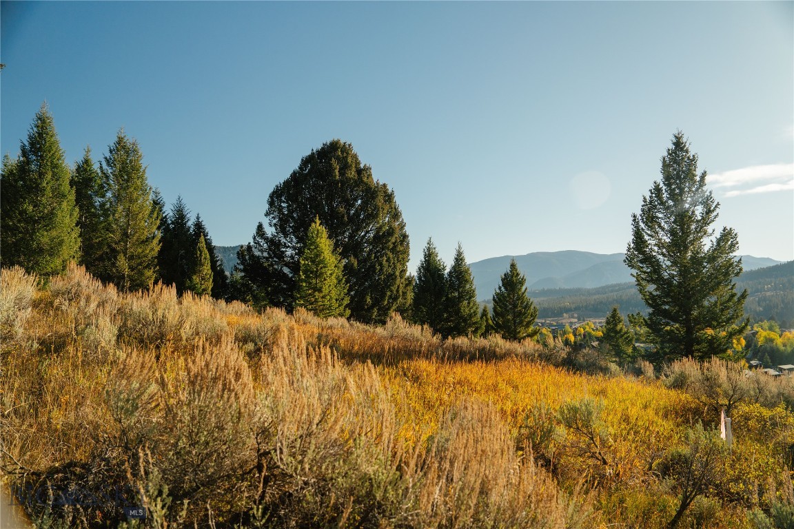 Upper Whitefish - Land