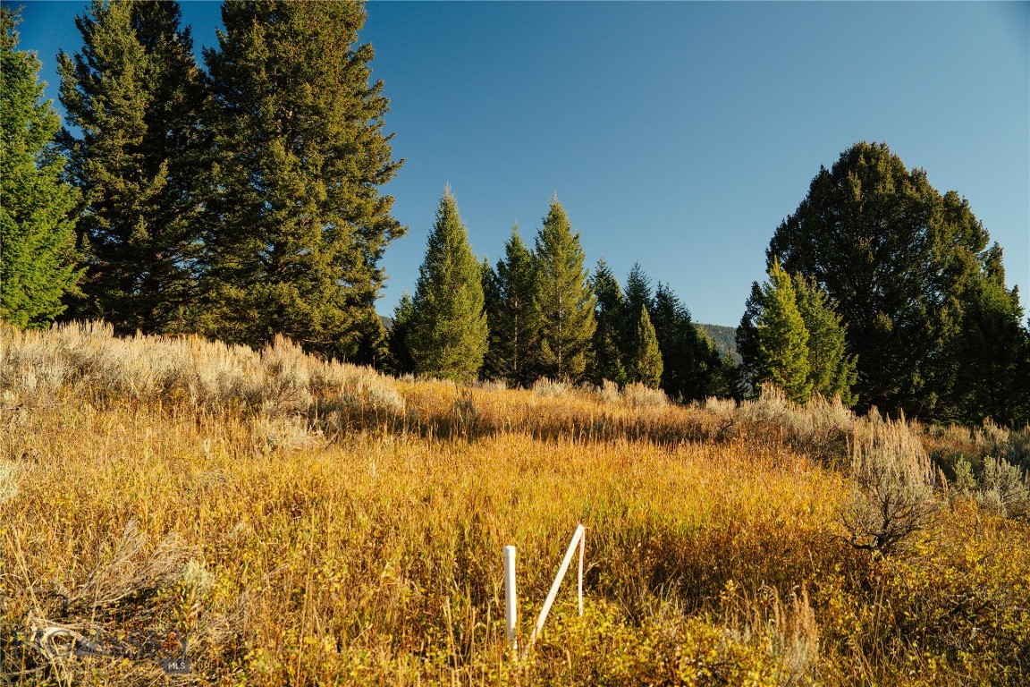 Upper Whitefish - Land