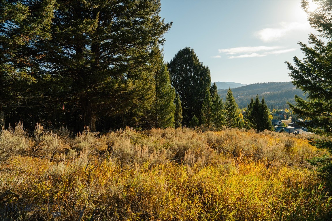 Upper Whitefish - Land