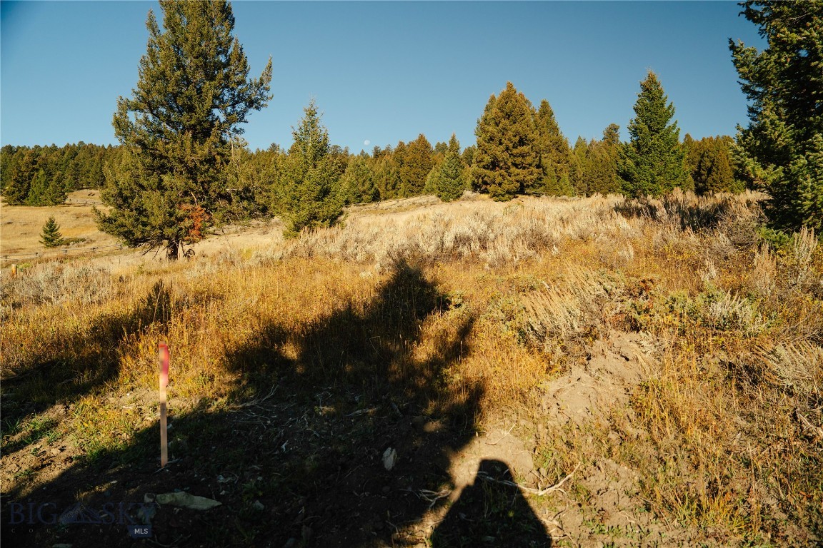 Upper Whitefish - Land