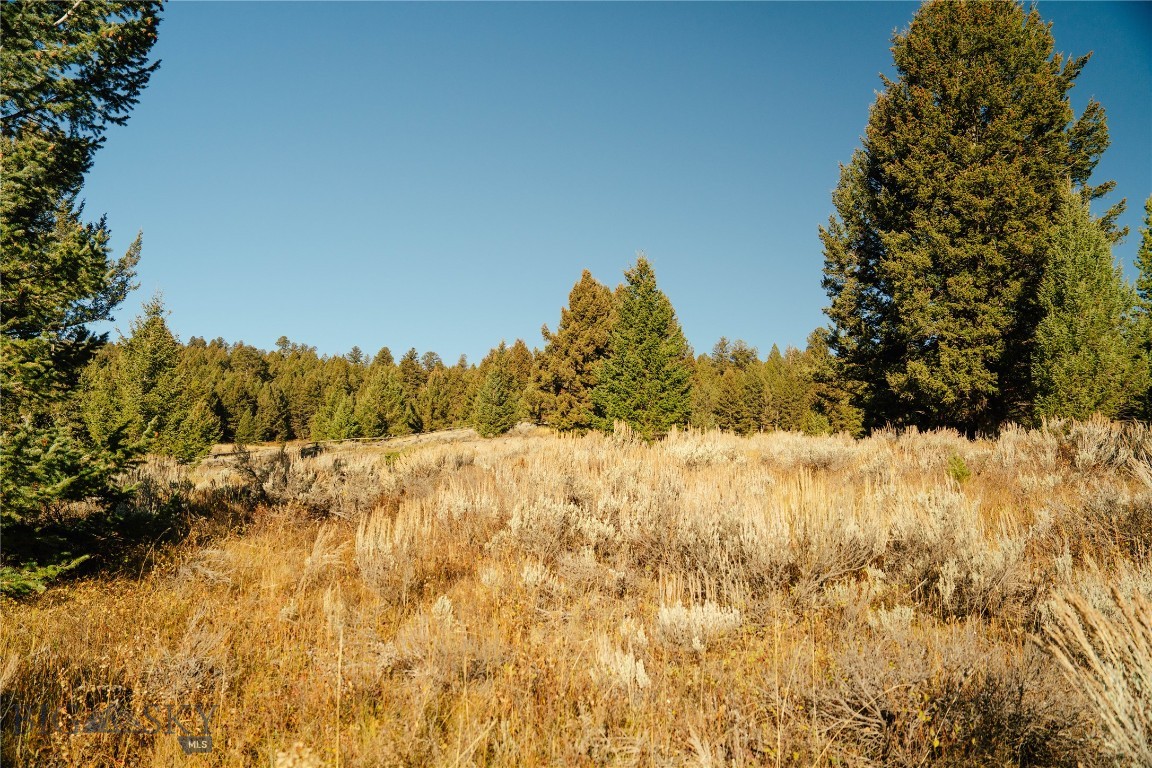 Upper Whitefish - Land