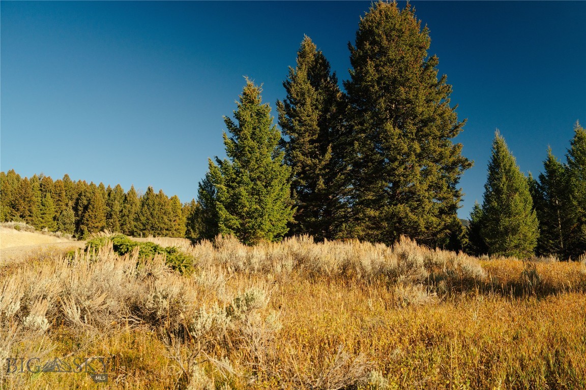 Upper Whitefish - Land