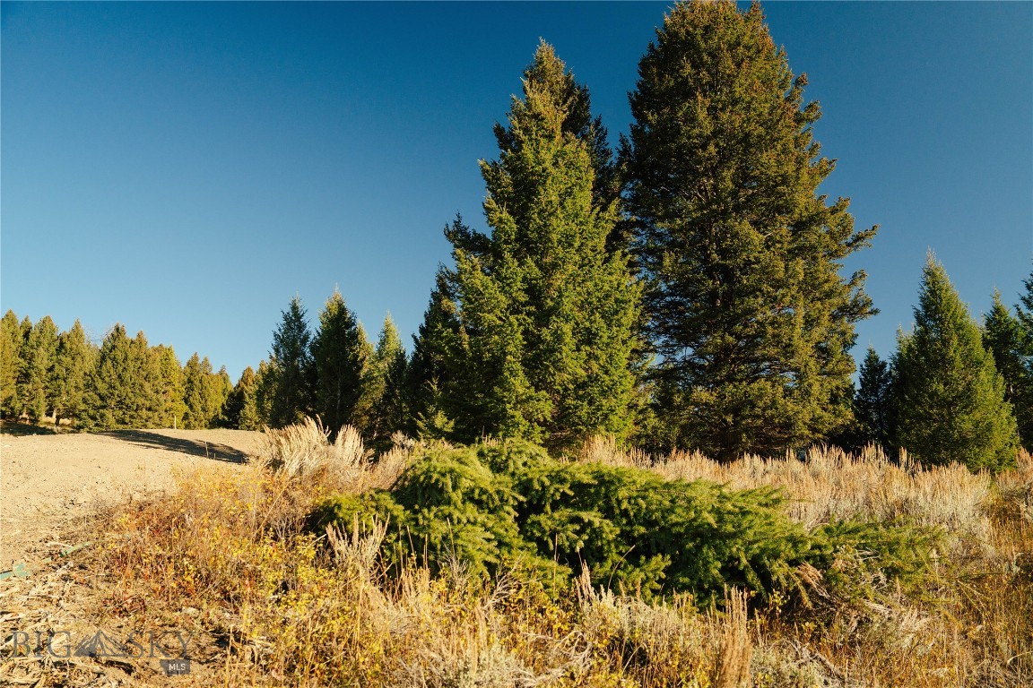 Upper Whitefish - Land