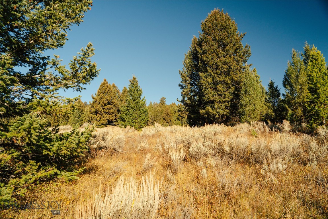 Upper Whitefish - Land